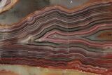 2.05" Polished Crazy Lace Agate - Mexico - #194129-1